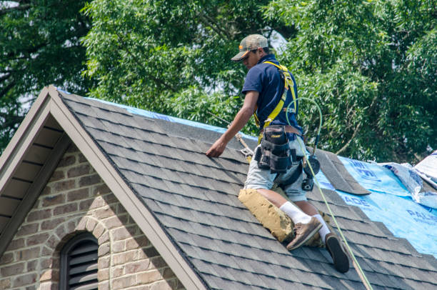 Roof Gutter Cleaning in Killian, LA